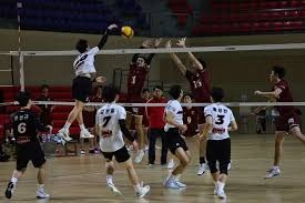 综合体育体育资讯导航 快速定位项目分类