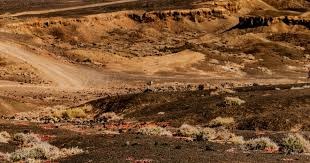 哈德尔牛棚价值分析