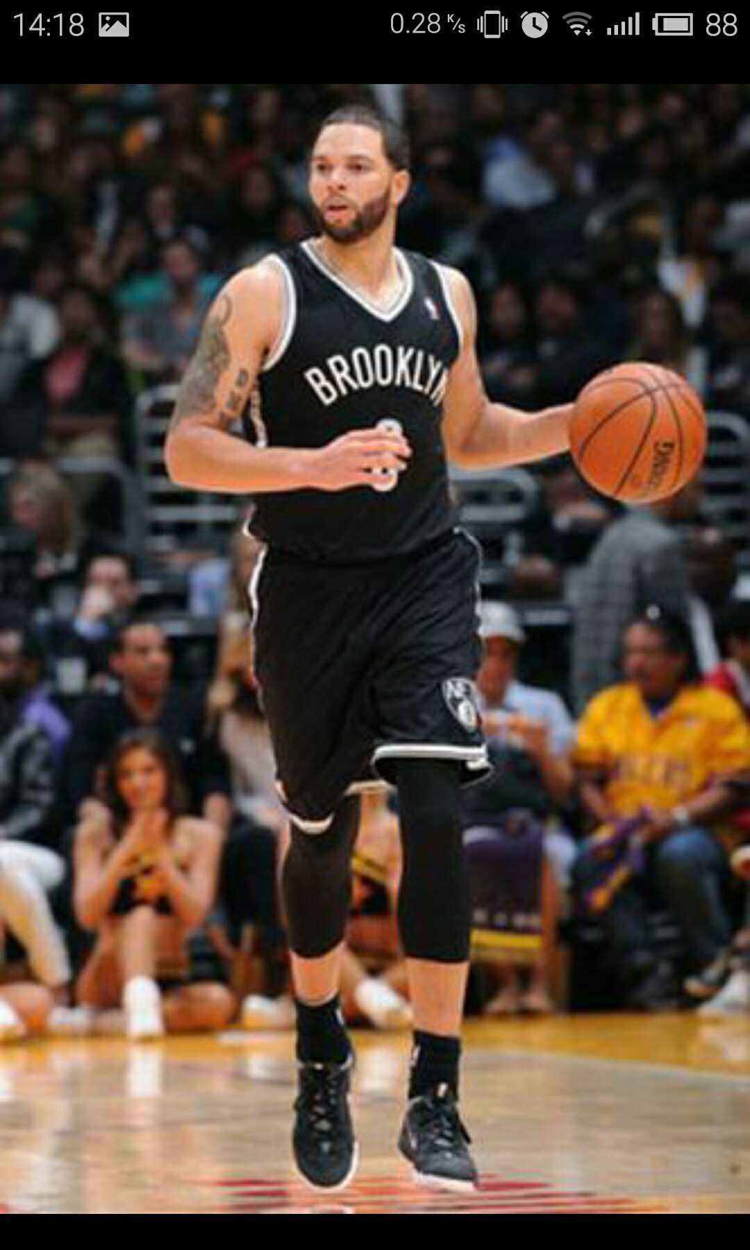 应新的环境 应新的环境